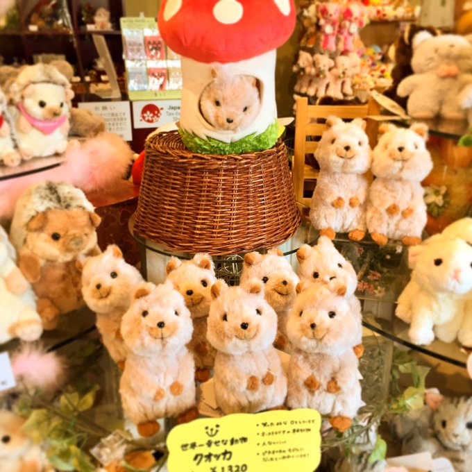 サンレモンさん がハッシュタグ 函館 をつけたツイート一覧 1 Whotwi グラフィカルtwitter分析 サンレモンさん がハッシュタグ 函館 をつけたツイート一覧 1 Whotwi グラフィカルtwitter分析