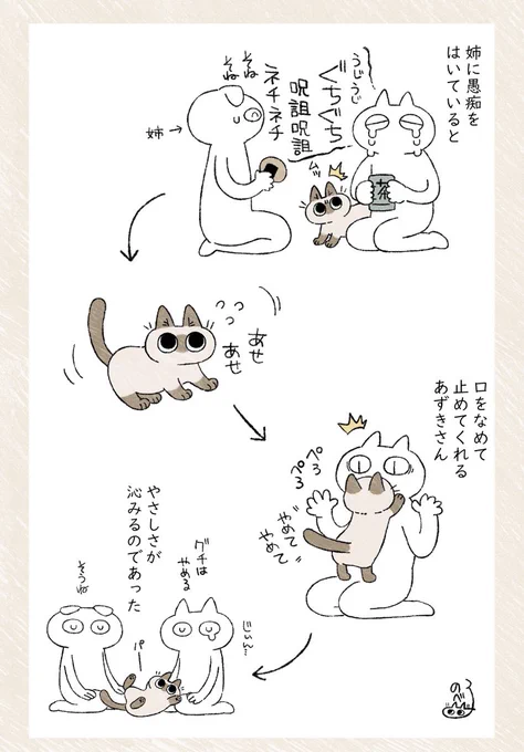 あずきさんのやさしさ #シャム猫あずきさんは世界の中心 