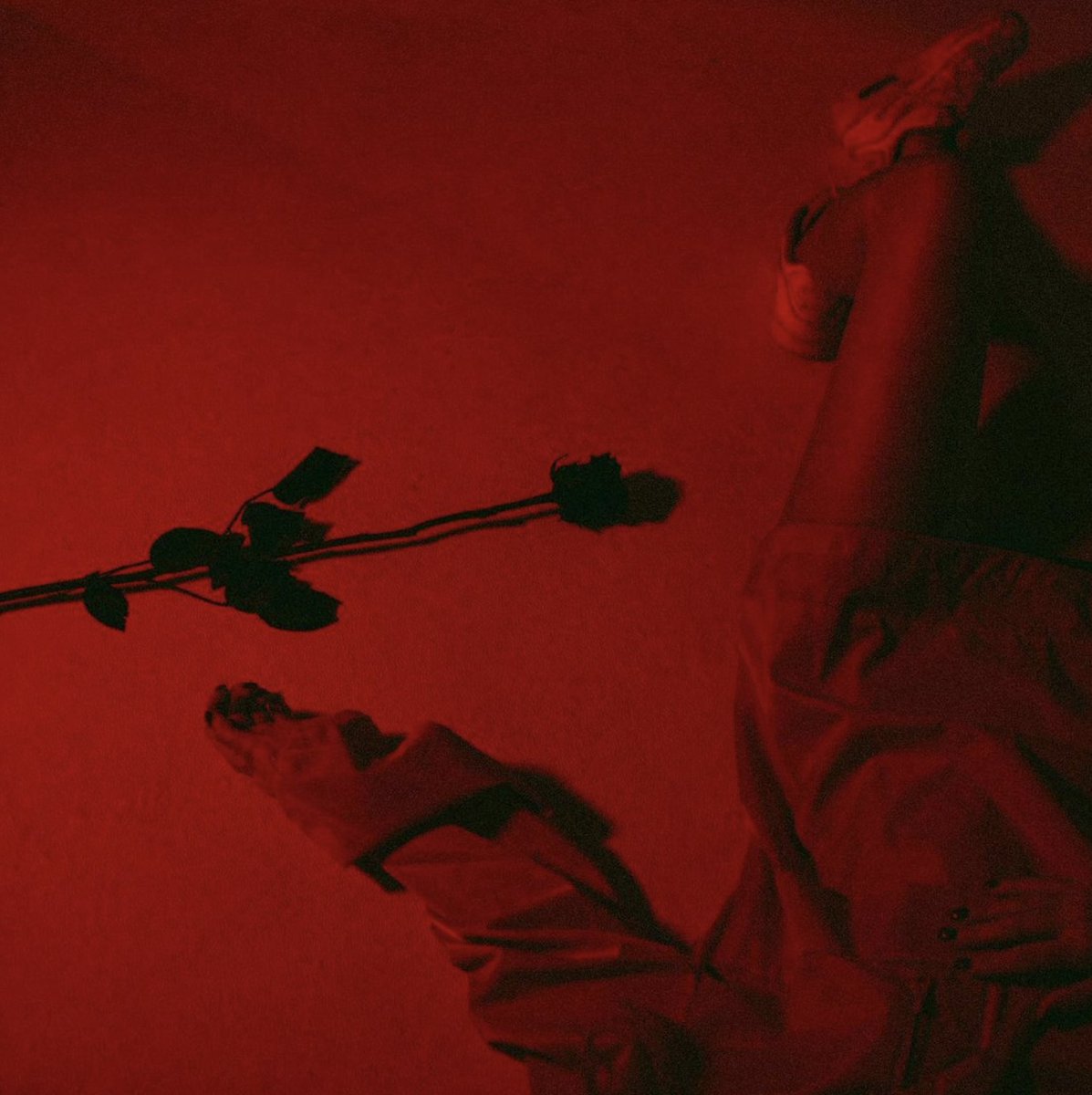 I am only human, I’m a natural disaster
I am only human, lying in the wreckage caught between before and after