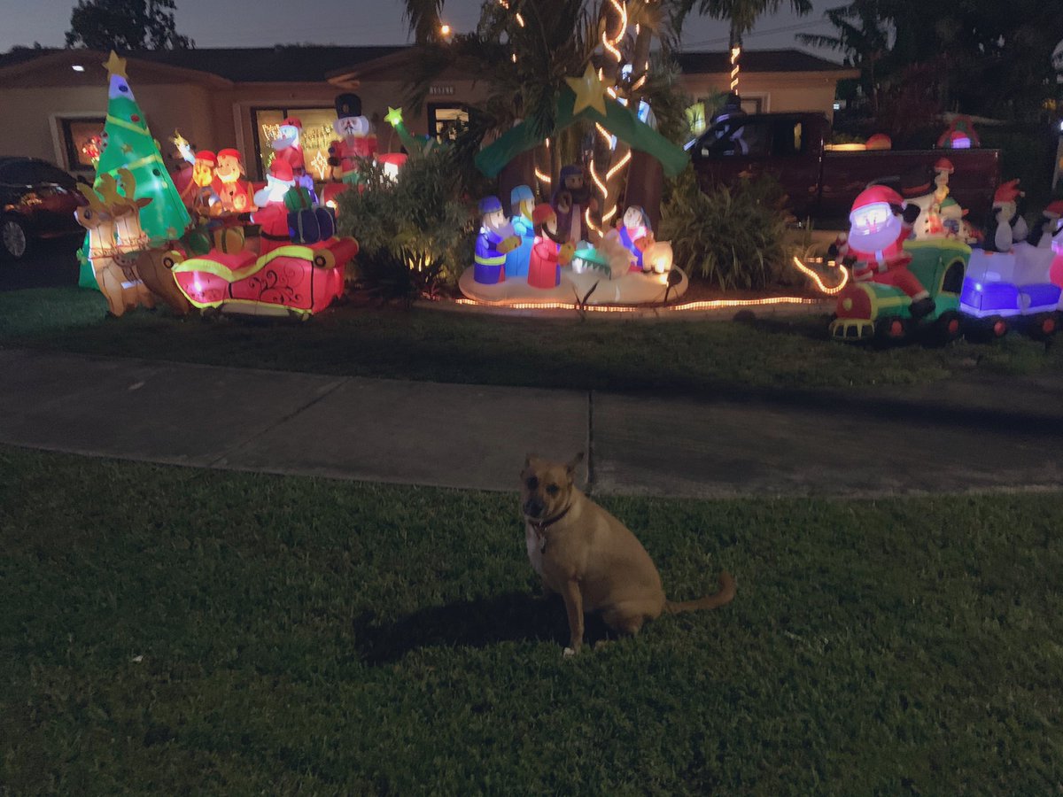 WowBowWow they did a grrrrrreat job wif the display at this house... Happi Howlidays! 💚❤️