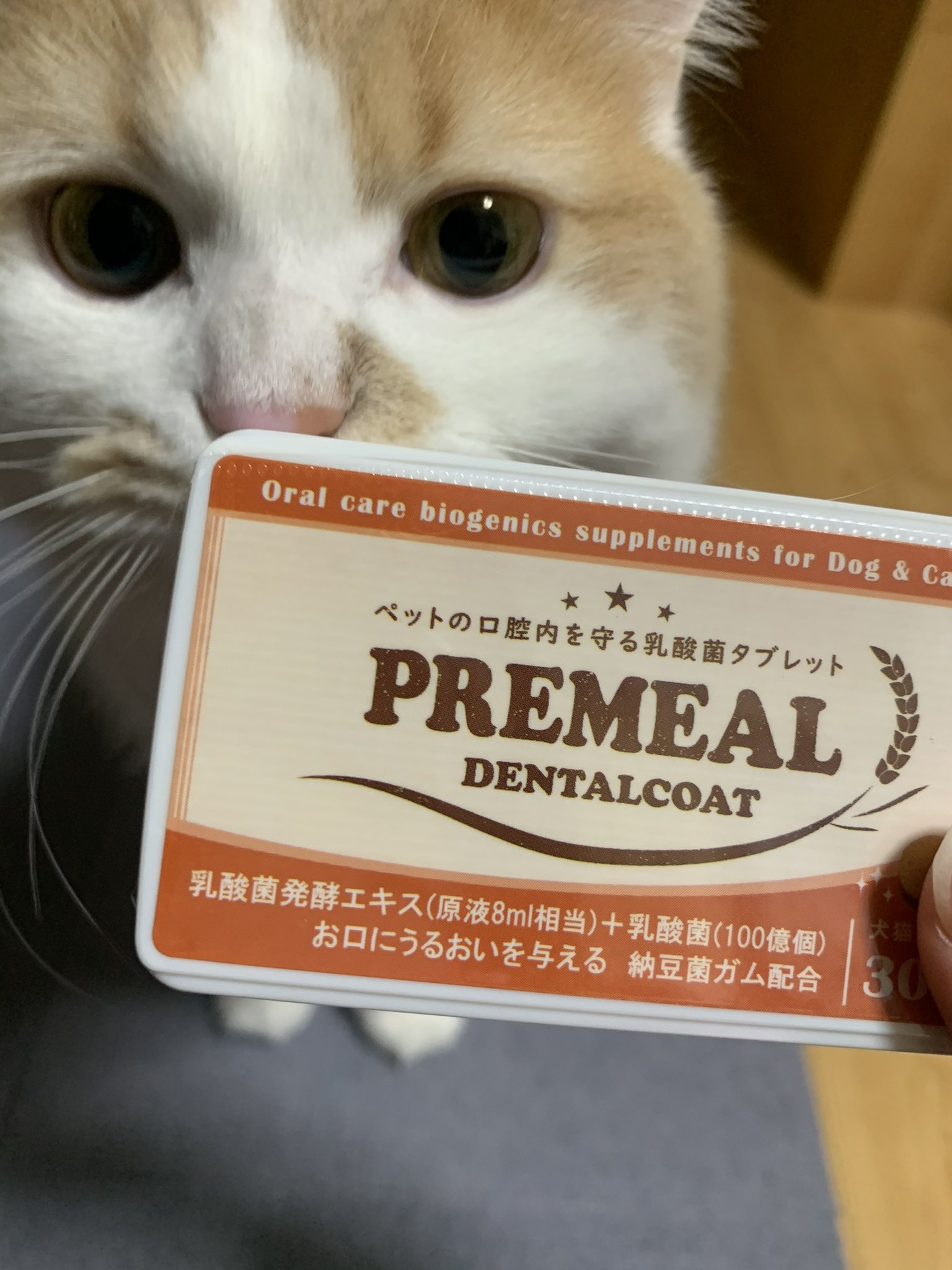 乳酸菌サプリ Twitter Search Twitter