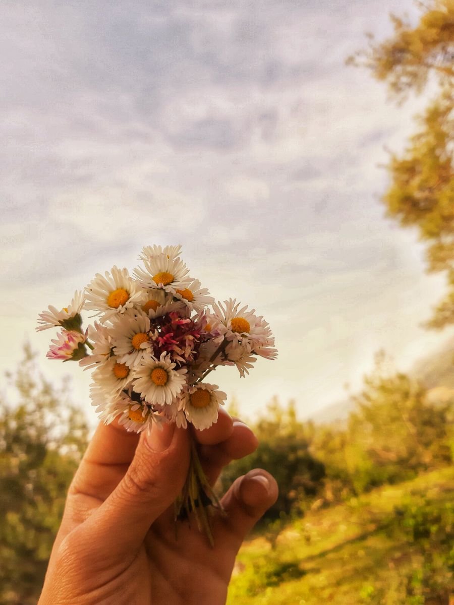 Günaydınnnnnnnnnnn🍀