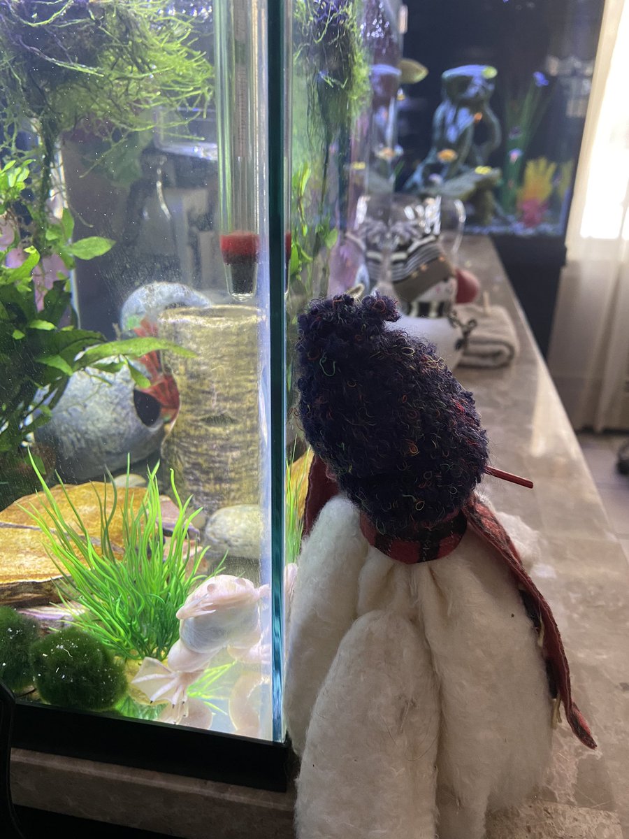sashasoxrascal's tweet photo. While working today, I felt like I was being watched 👀 #criticalfrogthoughts https://t.co/yvxrCqfhb7