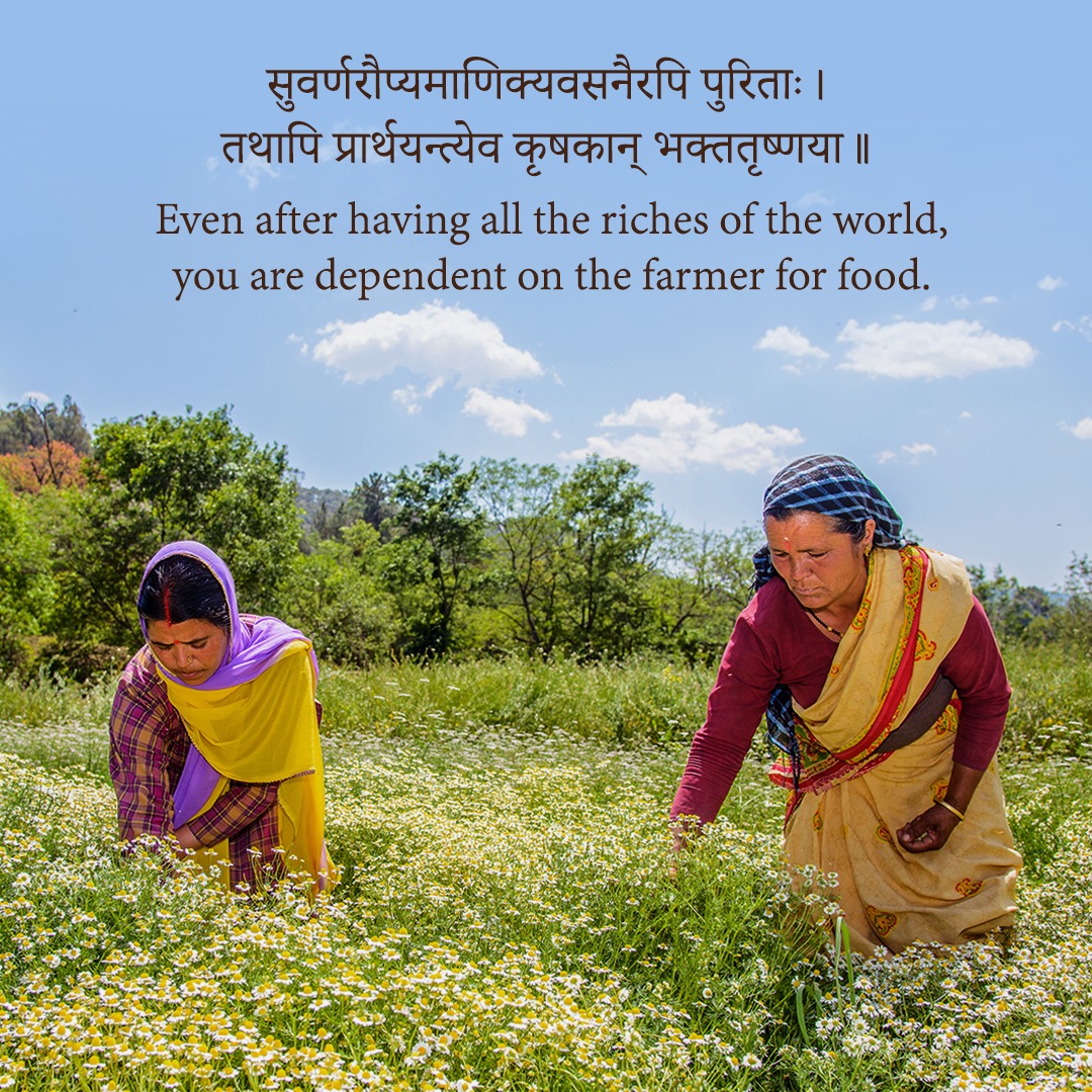SoulTree_In's tweet photo. Kisan Divas 2020

#SoulTree #Rootedingoodness #AyurvedawithSoulTree #TruthInside #Yoga #Fitness #Wellness #holisticliving #ayurvedalifestyle #glowingskin #detoxyourbody #detoxyourmind #rasayana #rejuvenate #nourishyourself #nourishyourskin #skincare https://t.co/WP6CJ5zO4L
