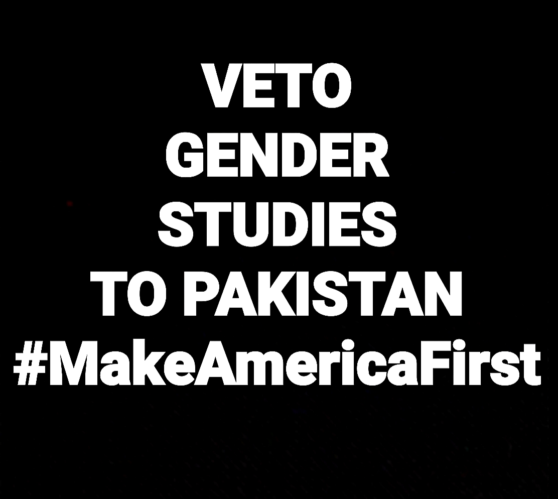 GabrielSeraph8's tweet photo. @dazzletellier @realDonaldTrump VETO GENDER STUDIES TO PAKISTAN #StopTheSteal #MAGA
#MakeAmericaFirst #JanuarySurprise
@realDonaldTrump https://t.co/t60QMvDYJm
