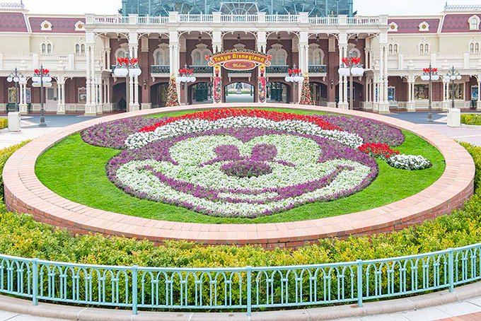 ディズニー ヒルナンデス で東京ディズニーリゾート特集 24日 木 11時55分 Cinemacafe Net