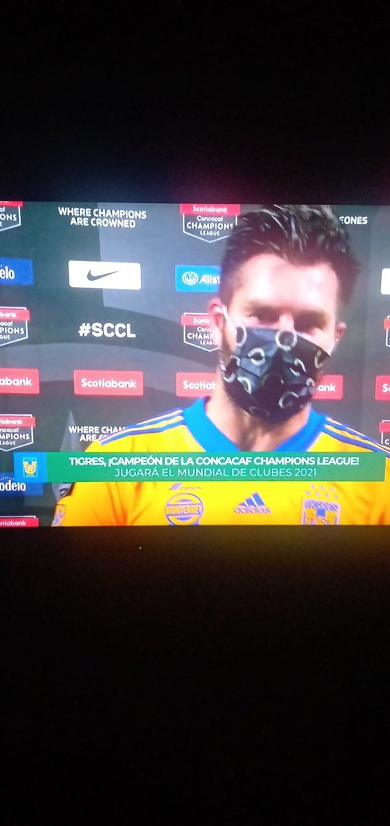 josegregorionc's tweet photo. Grande @TigresOficial #tigres #SCCL2020 @10APG #CAMPEONES 💛💙💛💙💛💙 #incomparables @TUDNUSA #pinchecopa 🐯🐯 https://t.co/TJTrz0madN