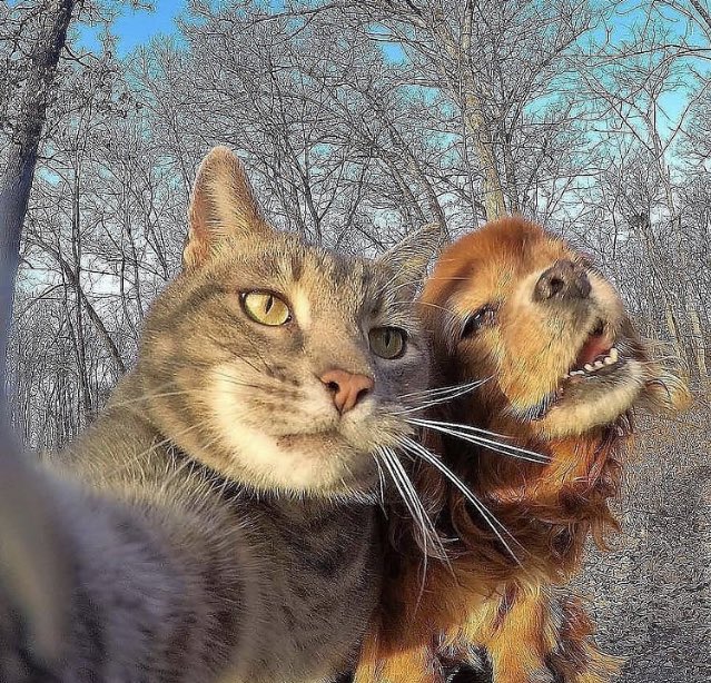 My friends just sent me a selfie 🤳🏼