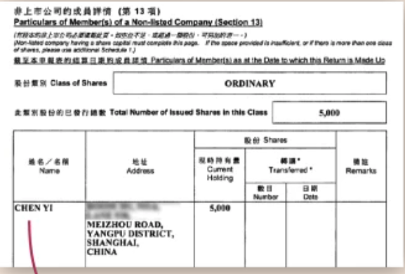 I followed one of the paper trails: ZC Holding is the public facing company for Vova, Floryday and some of the games like Girls X Battle on Amazon. The shell company is owned outright by a man named Chen Yi, with an address in Shanghai
