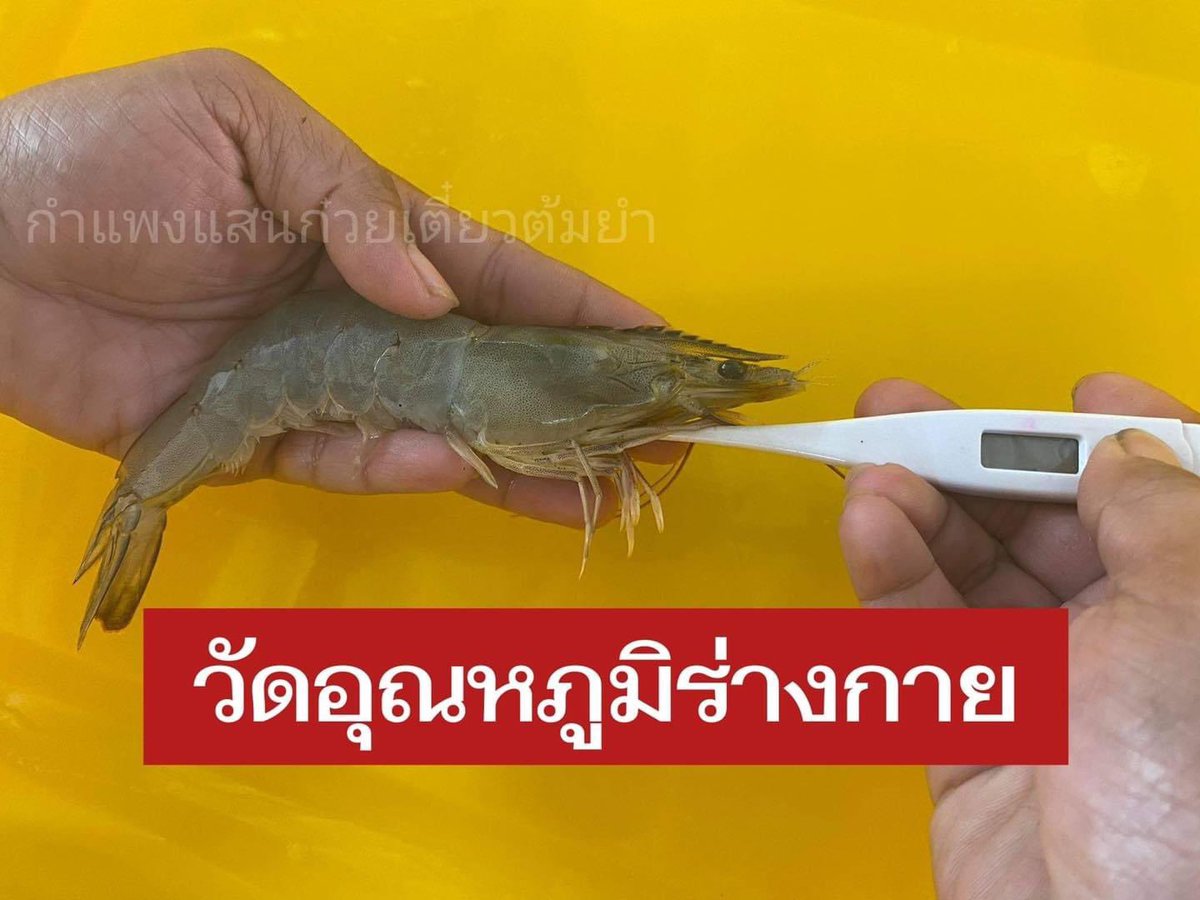 prd_mood's tweet image. โอ้ยยยเอ็นดู ฝากไปอุดหนุนพี่เขาด้วยนะ ครีเอทขนาดนี้  #สถานการณ์โควิดวันนี้ #โควิด19