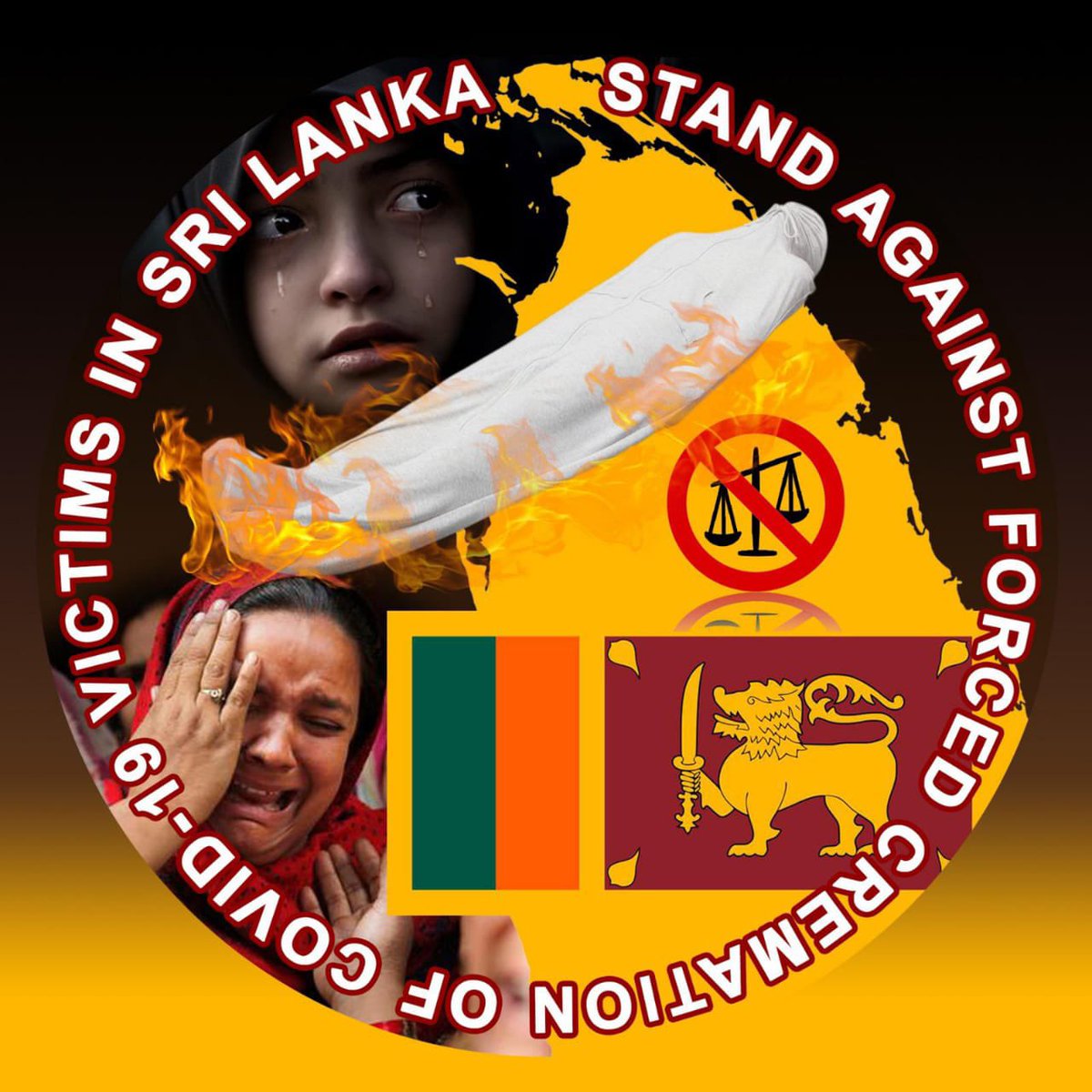 JabirHa88014406's tweet image. 