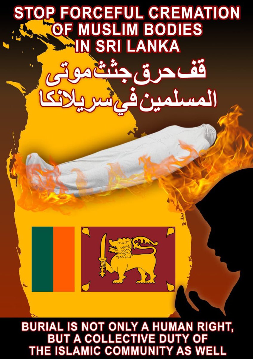 JabirHa88014406's tweet image. 