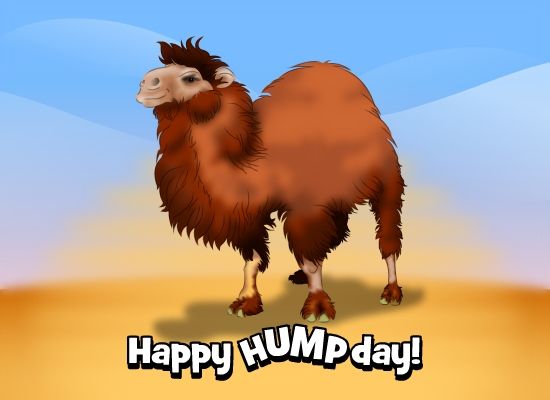 Wayne Collier (@waynecollier) on Twitter photo As the last #Wednesday before #Chritmas have a #Positive #HumpDay and remember to #StaySafe <a href="/jimharanbbx/">Jim Haran</a> <a href="/MrIanMParker/">Ian Parker Ⓥ</a> <a href="/TheDannyStevens/">Danny Stevens</a> <a href="/JohnsBlinds/">John's Blinds</a> @MickBaileyEBM <a href="/HoskinInsurance/">Hoskin Insurance</a> <a href="/mreynolds7/">mreynolds7</a> <a href="/GillTiney/">Gill Tiney</a> <a href="/HeatherABenham/">Heather Benham</a> <a href="/AdvancedBalance/">Natascha Lehmann</a> <a href="/DebbieDayFA/">Debbie Day</a> <a href="/TickSolutions1/">TickSolutions</a> <a href="/PeterRDWood/">Peter Wood</a> As the last #Wednesday before #Chritmas have a #Positive #HumpDay and remember to #StaySafe <a href="/jimharanbbx/">Jim Haran</a> <a href="/MrIanMParker/">Ian Parker Ⓥ</a> <a href="/TheDannyStevens/">Danny Stevens</a> <a href="/JohnsBlinds/">John's Blinds</a> @MickBaileyEBM <a href="/HoskinInsurance/">Hoskin Insurance</a> <a href="/mreynolds7/">mreynolds7</a> <a href="/GillTiney/">Gill Tiney</a> <a href="/HeatherABenham/">Heather Benham</a> <a href="/AdvancedBalance/">Natascha Lehmann</a> <a href="/DebbieDayFA/">Debbie Day</a> <a href="/TickSolutions1/">TickSolutions</a> <a href="/PeterRDWood/">Peter Wood</a>