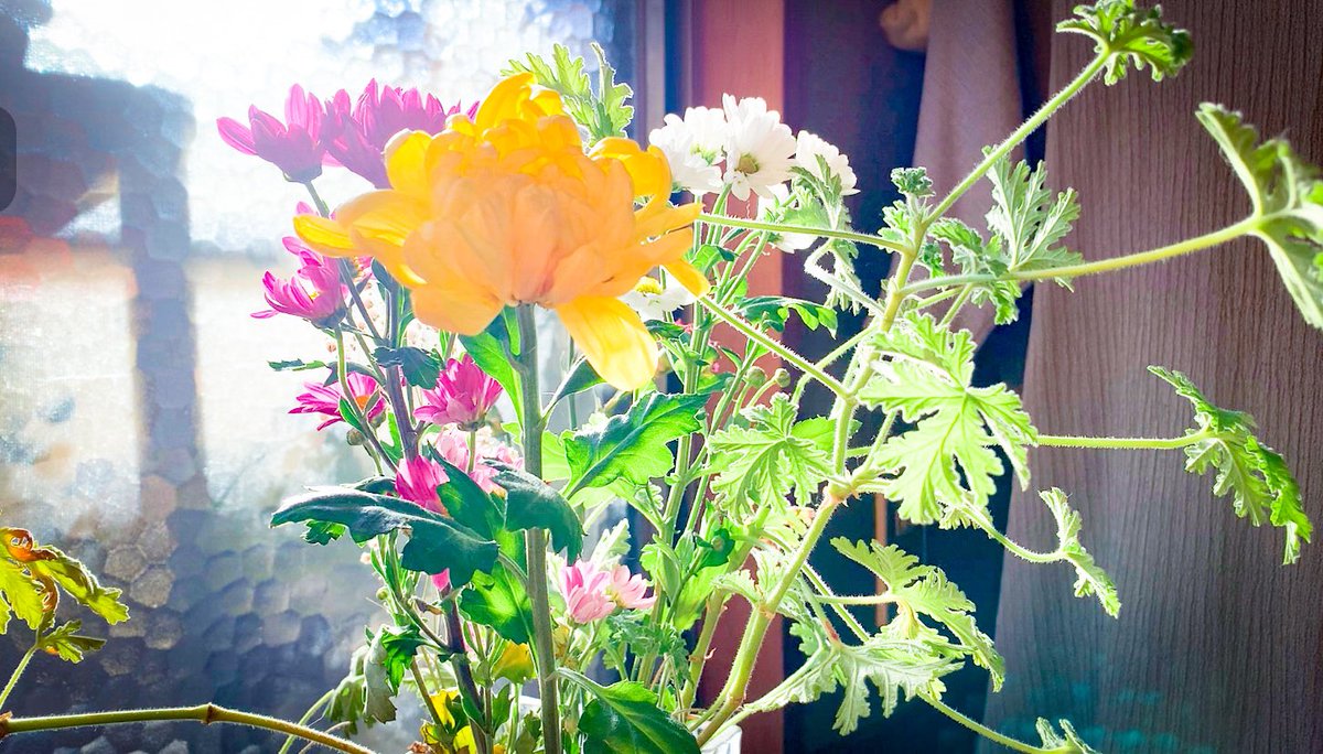 aicando's tweet image. 保養👁