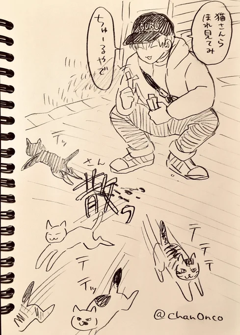 猫にまったく懐かれないヌルデ 