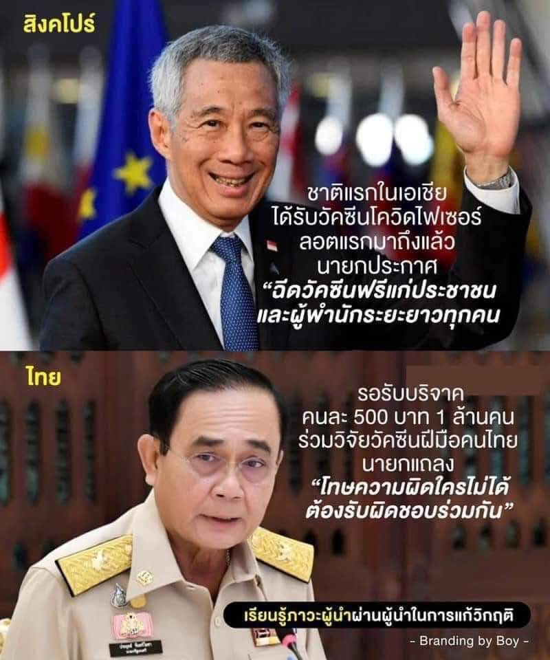 เศฐารีน่า 💛🇹🇭🙏🇨🇳💛 tweet media