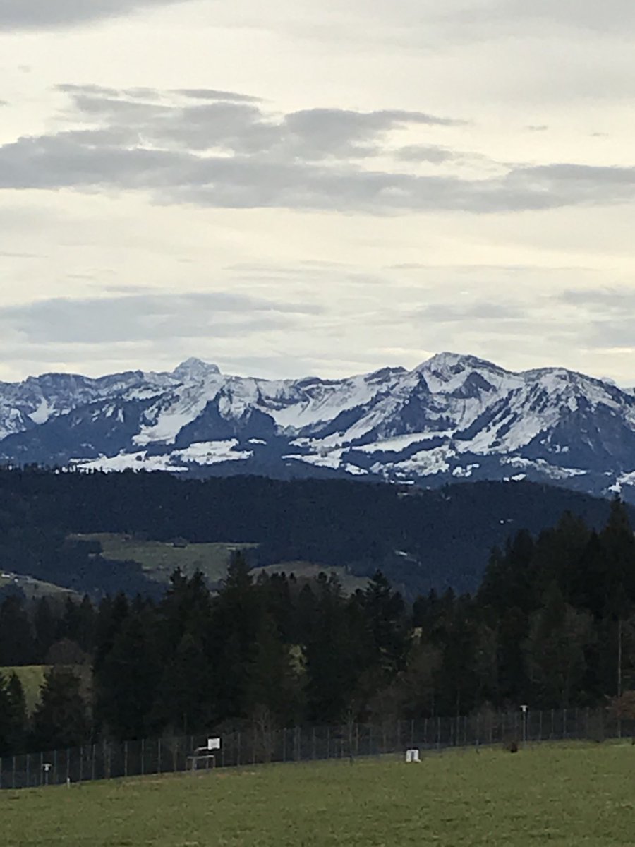 Martin Ilkov (@cosatto) on Twitter photo 