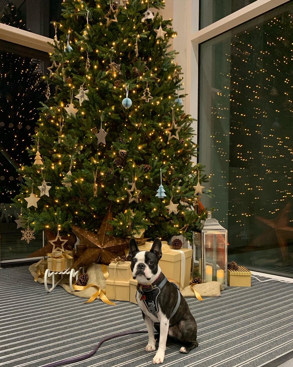 Is that sleigh-bells we can hear? 

Wishing you a very Merry Christmas from all of the 58VE Team🥂 Despite *everything* this year and especially the last week we hope you enjoy the festivities and wish you all the best for the year ahead ✨