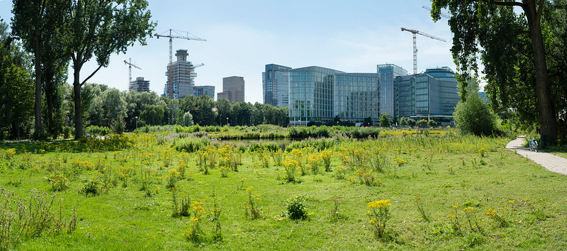 Hello Zuidas tweet media