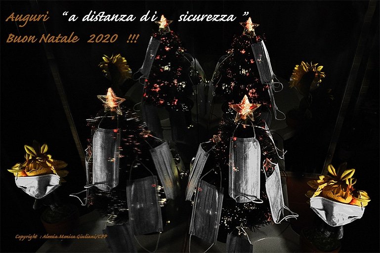 CppPress's tweet image. Buon Natale 2020 !!!
#Christmas2020 #Natale2020
Copyright Alessia Monica Giuliani/CPP/Photoservice