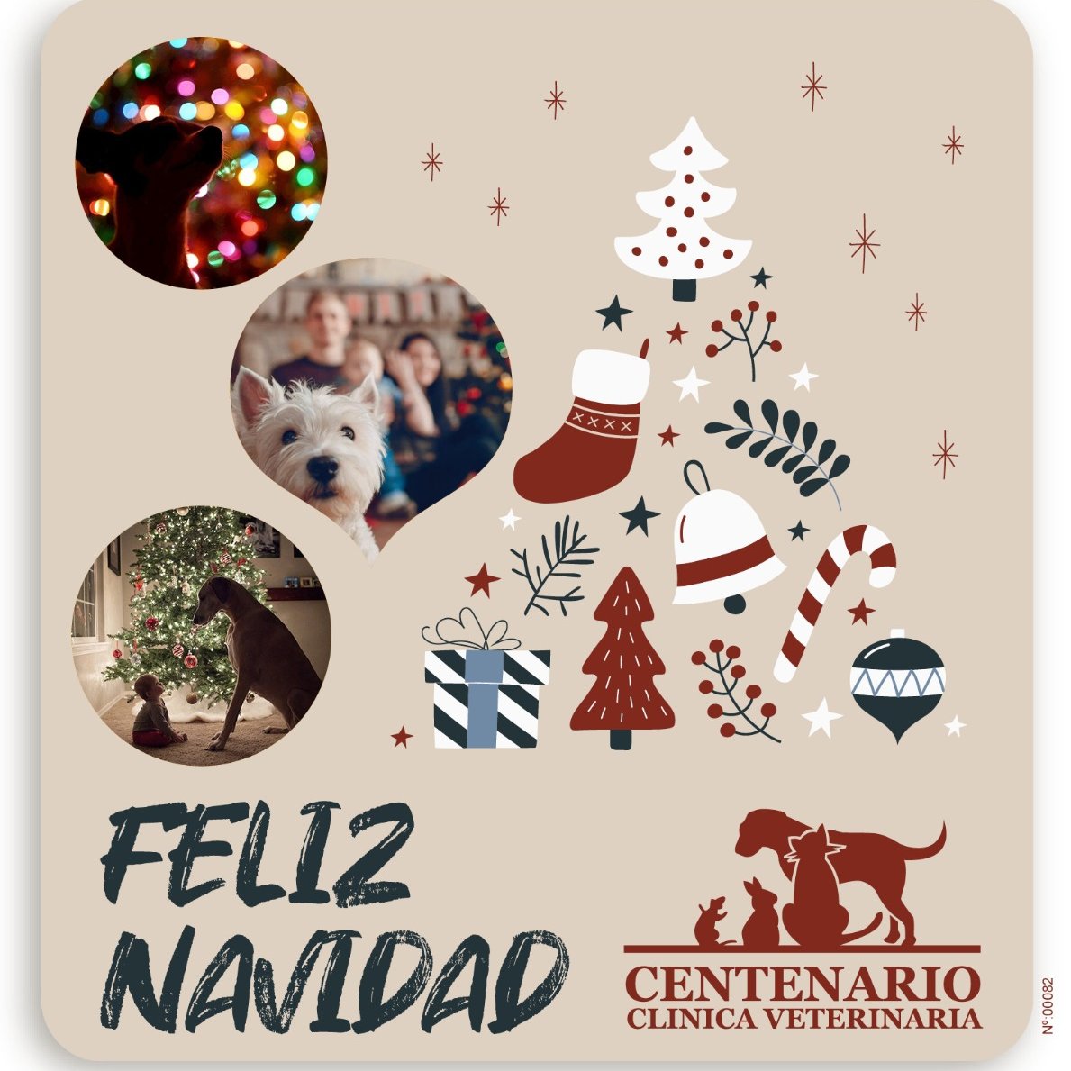 vetcentenario's tweet photo. https://t.co/Ubi91t8srh