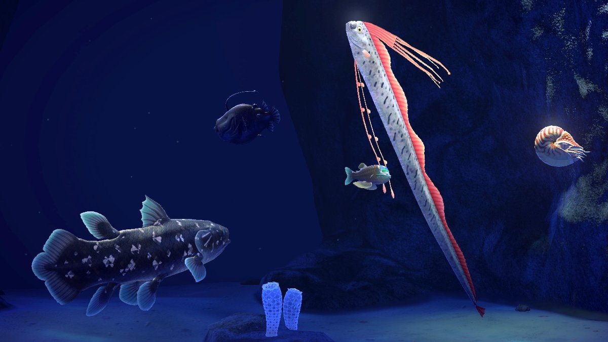 IslandPitchi's tweet photo. 🐟🐋
#AnimalCrossingNewHorizons #animalcrossing #acnh #NintendoSwitch https://t.co/yM70jvCheT