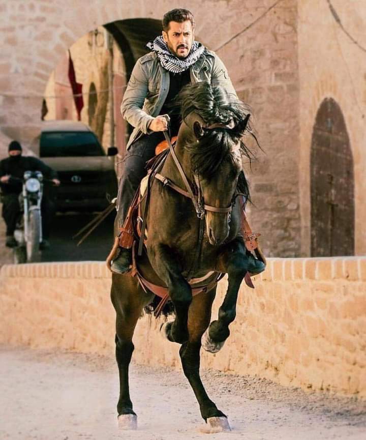 SalmanK08493582's tweet photo. โโ-"4 Days To The Most Followed Superstar SalmanKhan BDAY โจโฅ๐ค
#SalmanKhan #4DaysTo #27Again https://t.co/0BXBLwu5VS
