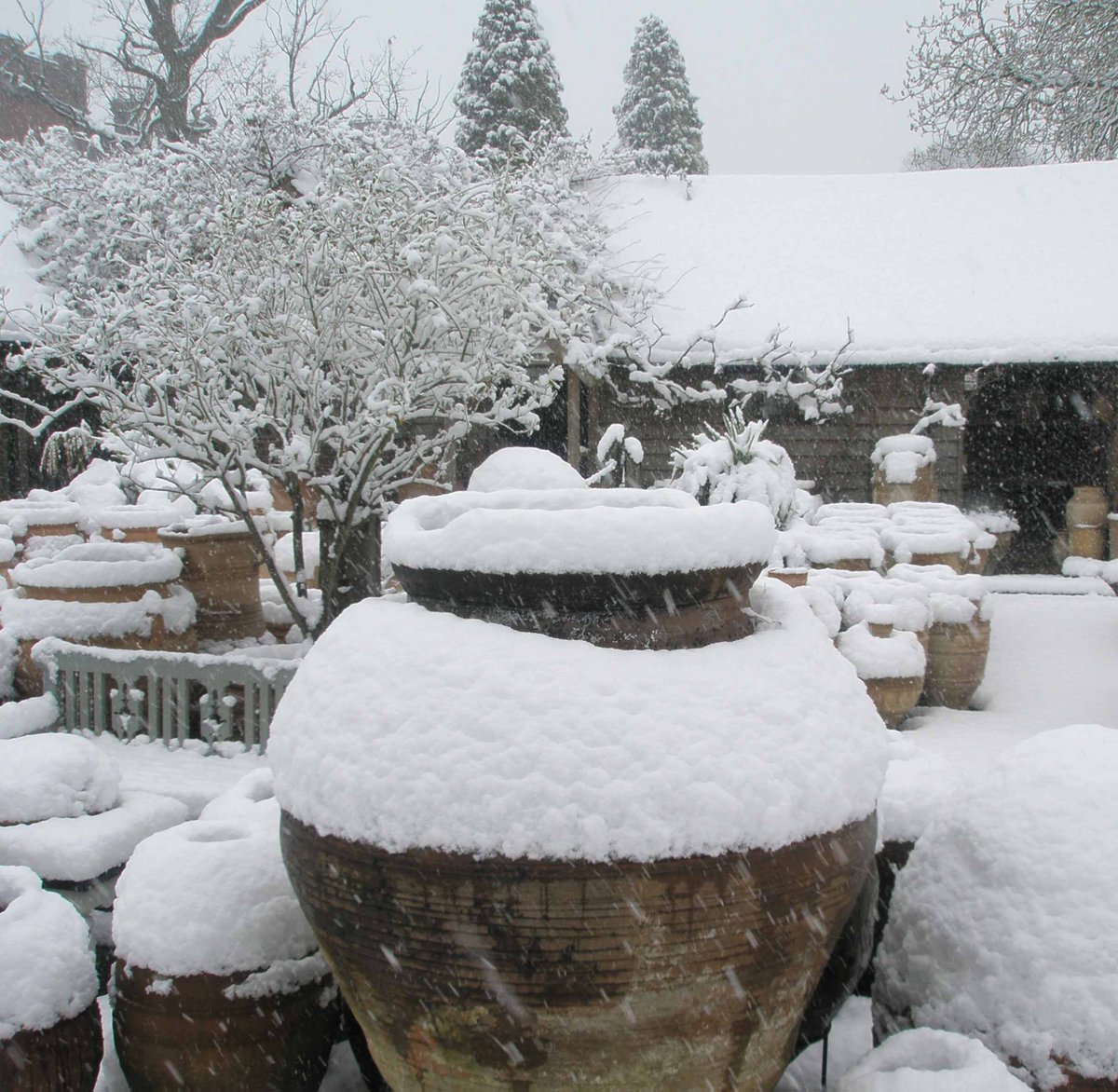 Merry Christmas from Pots and Pithoi - mailchi.mp/potsandpithoi.…