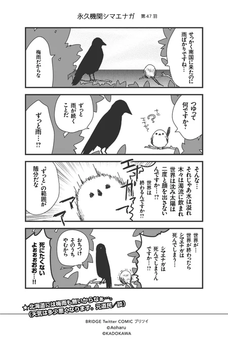 【月～金/平日毎日連載!!】青春(あおはる 
@awoharu

『シマエナガとカラスさん』第47羽  #永久機関シマエナガ #シマエナガとカラスさん 