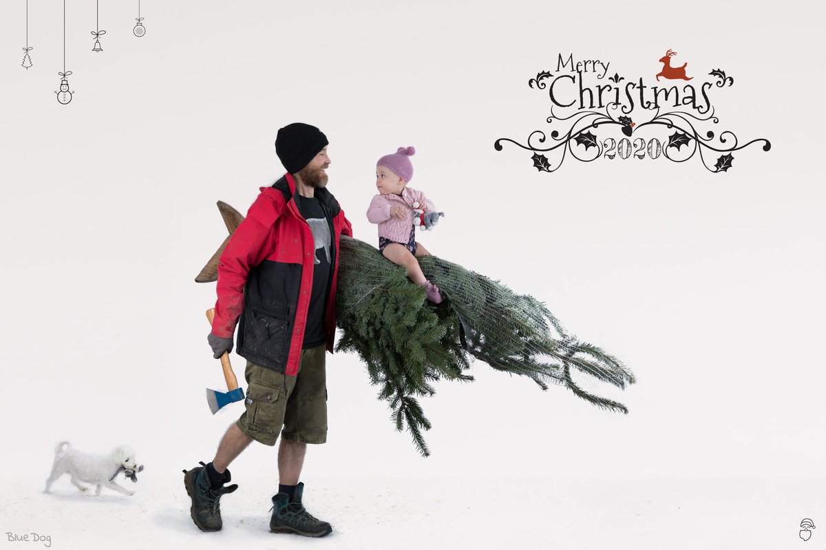 bluedog_at's tweet photo. First in the series “What Baby Shouldn’t Do” is “Do not Fly the Tree”. https://t.co/iitly3xU6A