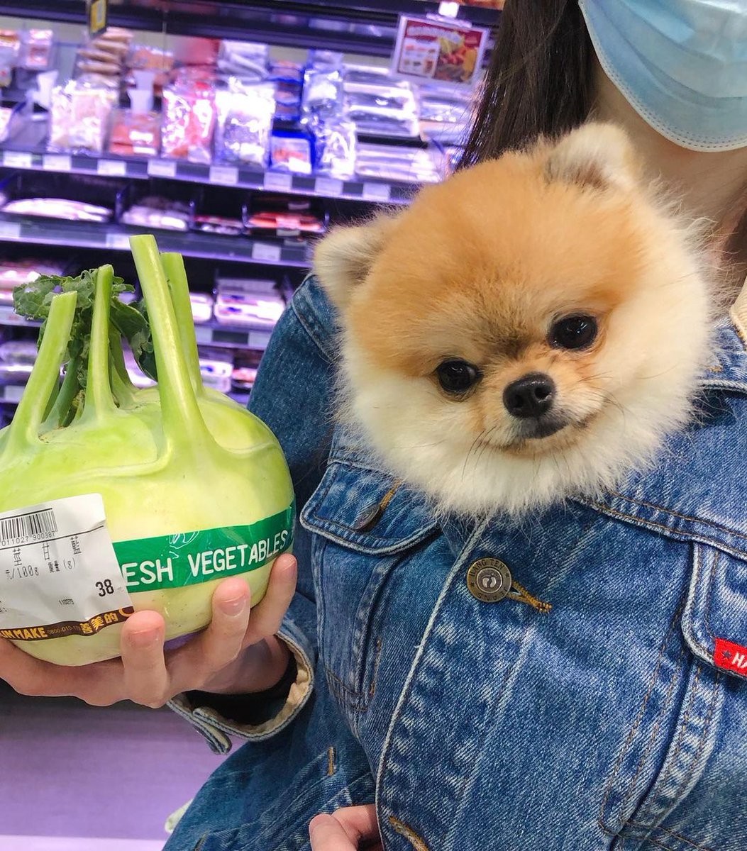 9GAG's tweet photo. Keeping warm

📸 miffytinypom | IG https://t.co/ljMdFDEq7J