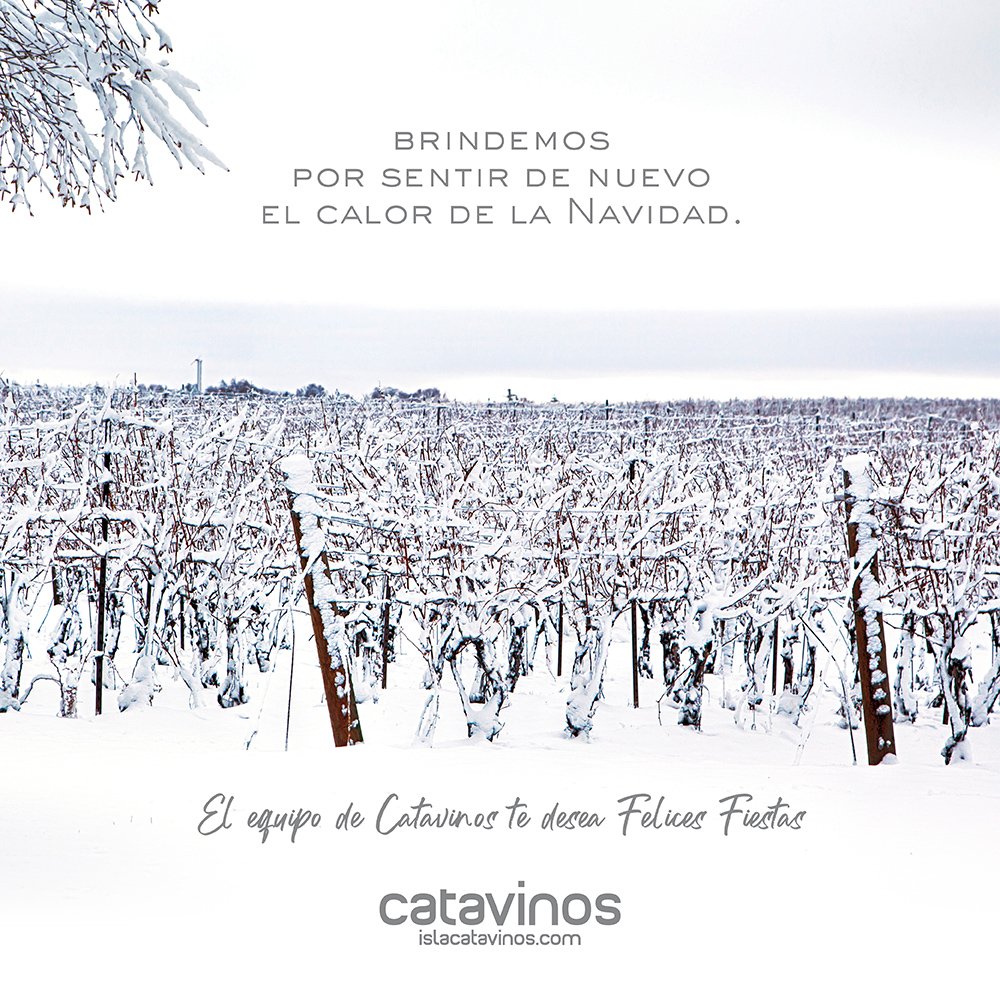 Catavinos's tweet photo. Brindemos por sentir de nuevo el calor de la Navidad. 
#FelicesFiestas https://t.co/tBOxsxOkj0