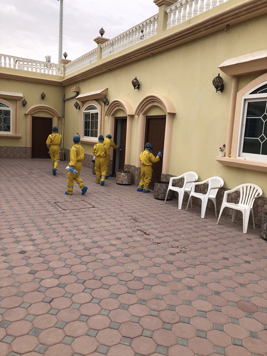 TPC Disinfection تي بي سي لمكافحة الحشرات) (@trappestcontrol) on Twitter photo 