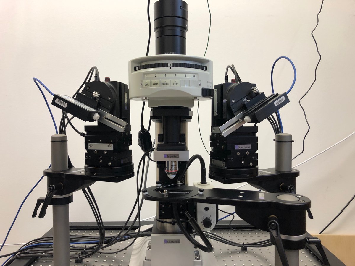 Jan M Ache tweet media