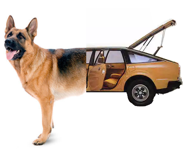 SteveUnofficial's tweet photo. Rover SD1

#CarDogs
.@ThePollitt @MrJalco https://t.co/vQGiccEqVZ