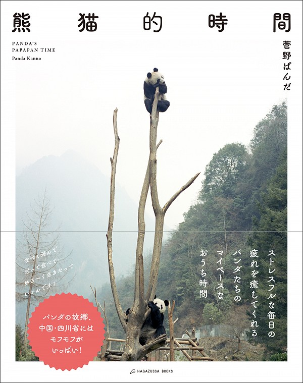 熊猫的時間 Panda Time Pandati Twitter