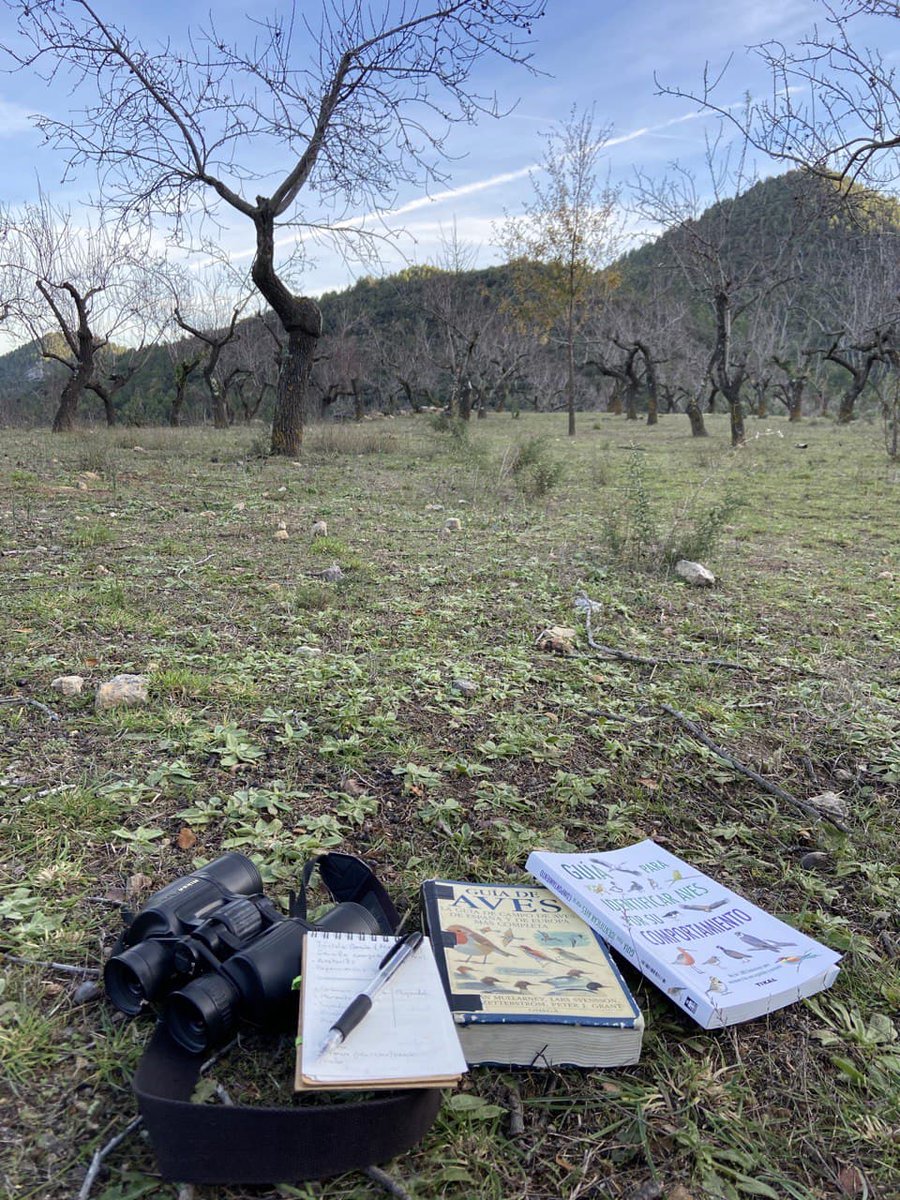 ConnectaNatura's tweet photo. 😁 Tenim una sorpresa nadalenca: estem preparant una #RutaInterpretativa per #Xinquer!
🌳🍂 No podem revelar molt més, així que vos deixem algunes imatges perquè us aneu preparant. Esteu pendents per saber-ne més!
#ConnectaNatura #SalutiNatura #SerraEspadà #EducacióAmbiental https://t.co/vBMyKOLfnU