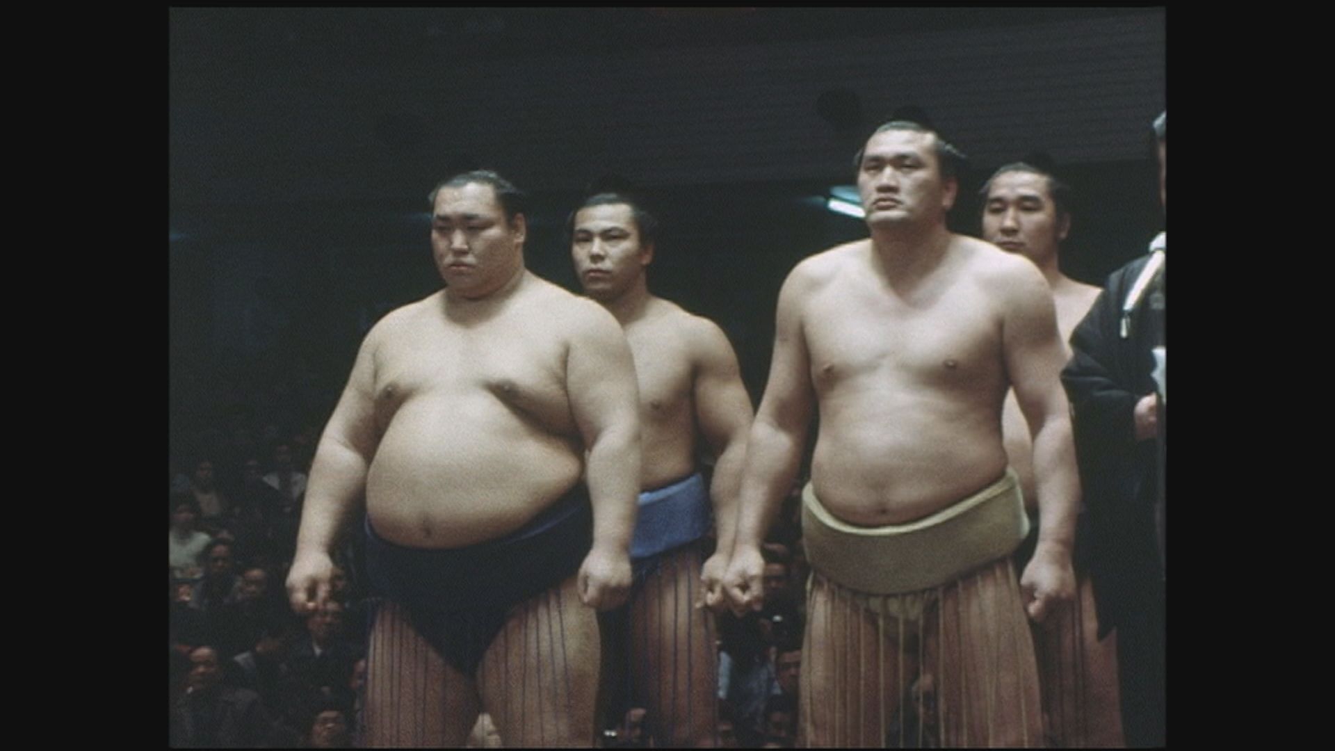 日本相撲協会公式 в X: „【 #アーカイブ場所 】 昭和56年(1981年 日本相撲協会公式 в X: „【 #アーカイブ場所 】 昭和56年(1981年