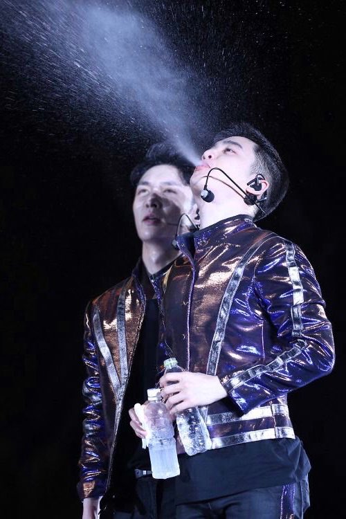 the art                             the artist