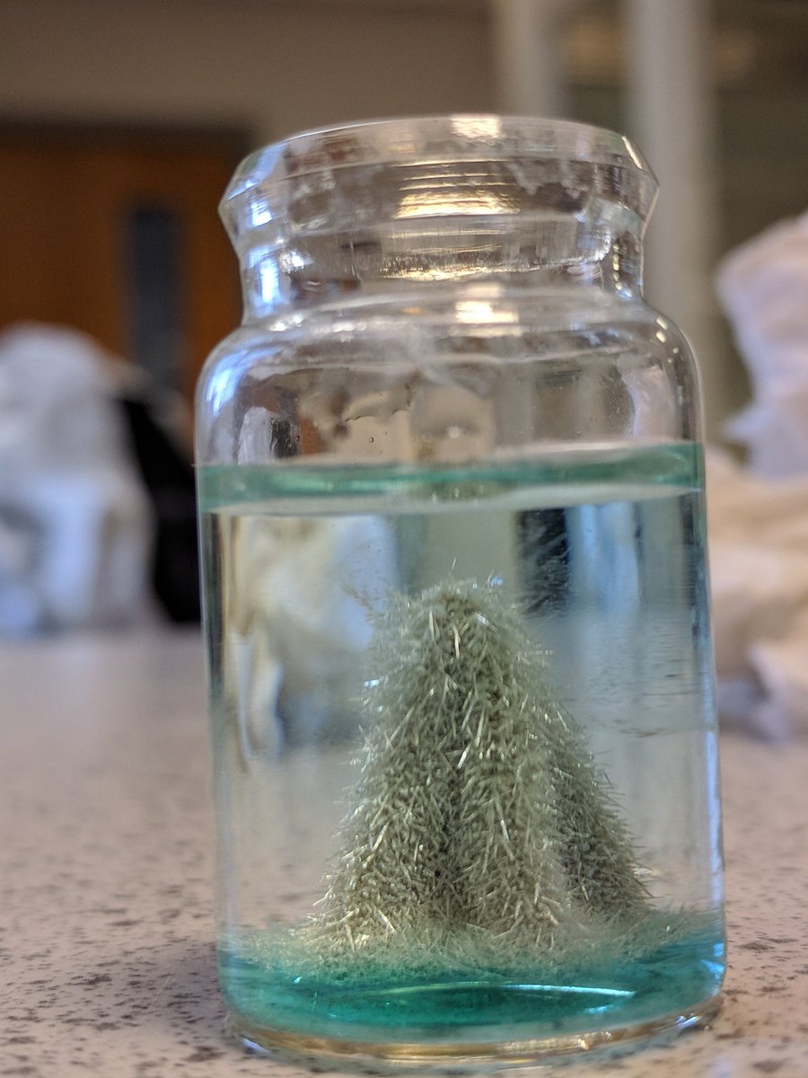 WRBdB's tweet image. Festive #FFBScience 🎄☃️🎁

Connect to other science educators by following* those who retweet, like, reply to this tweet and/or use the hashtags #FFBScience #FFBChemistry #FFBPhysics #FFBBiology.

*To warrant following your bio must show you&apos;re in science ed.

#FFBWednesday