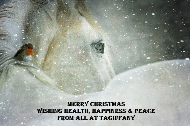 Christmas Greetings From Tagiffany.

#thebritishhorsesociety
#horselovers
#horsesafety
#safetyequipmentforhorses
#equestrianlife
#horsecrazy
#horseriding
#equinecommunity
#equineshops
#equinegear
#endurancegb