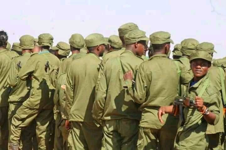RegionGedo's tweet photo. Two airlifts carrying over 100 SNA soldiers landed in Dollow with more expected to reinforce SNA in the Belet-hawa border area. Jubaland forces were sighted moving across the border in Kenya. Residents along the border are terrified by the movements of the troops https://t.co/BmyjUWu4ij