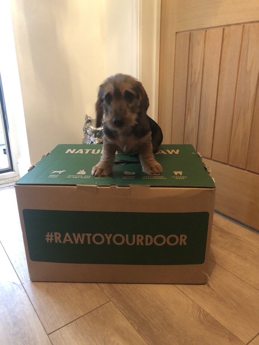 kevmaher1's tweet photo. Father Christmas has been early! Thanks @naturesmenu https://t.co/L0Tx0LBhog