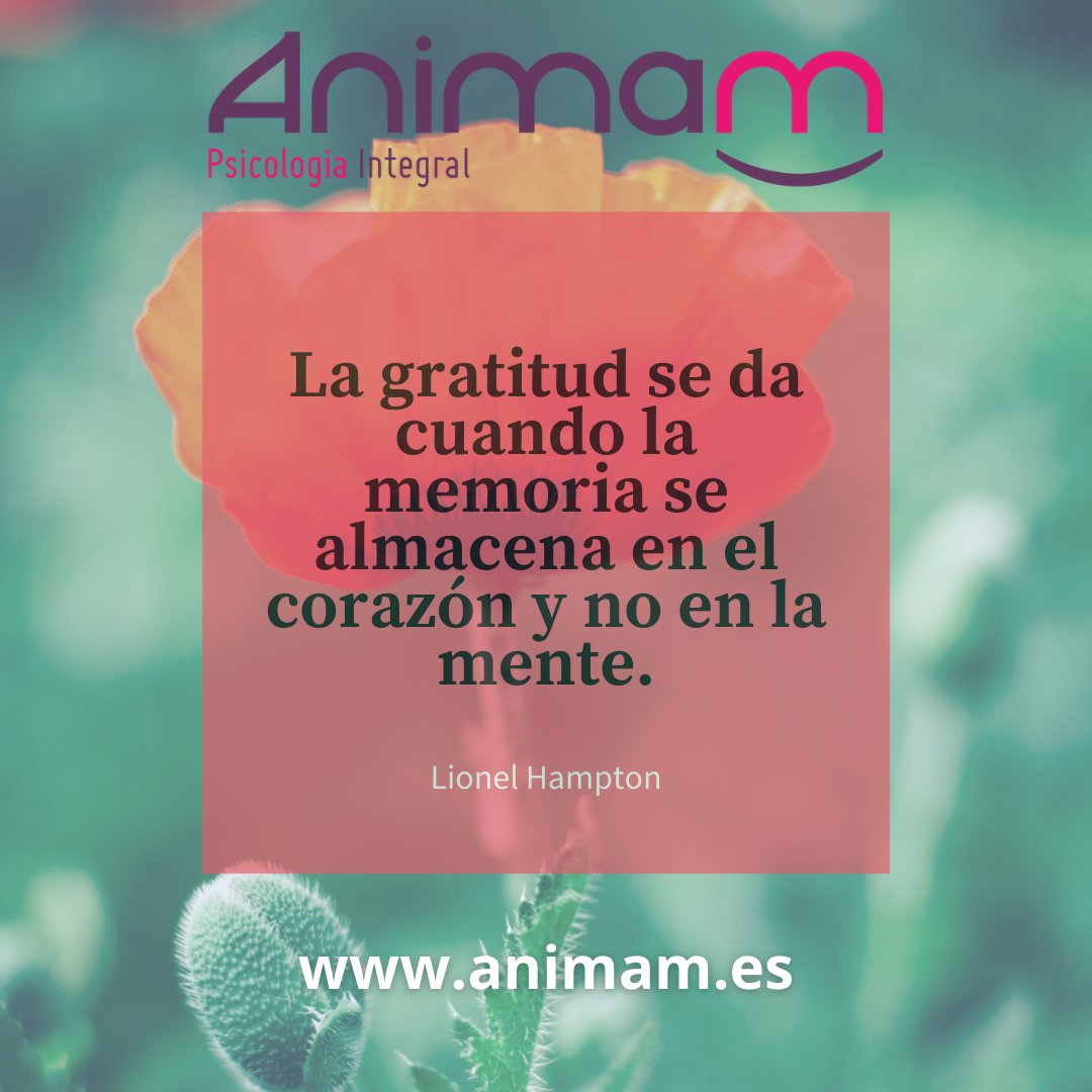 Animam · Psicología Integral (@AnimamPsicologi) / Posts / X