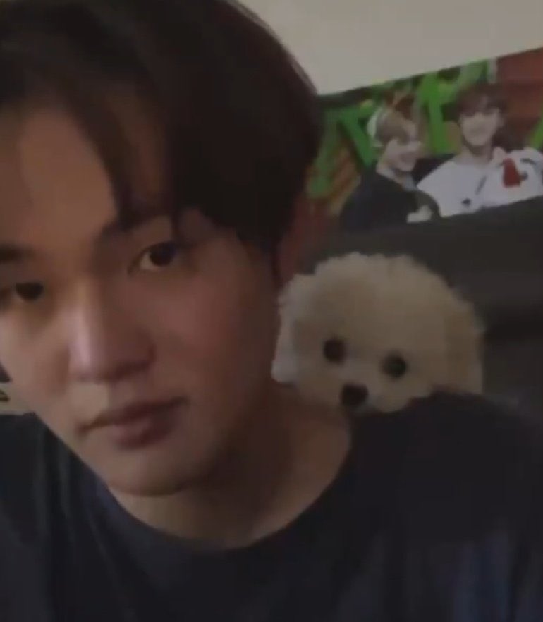 jinha tweet media