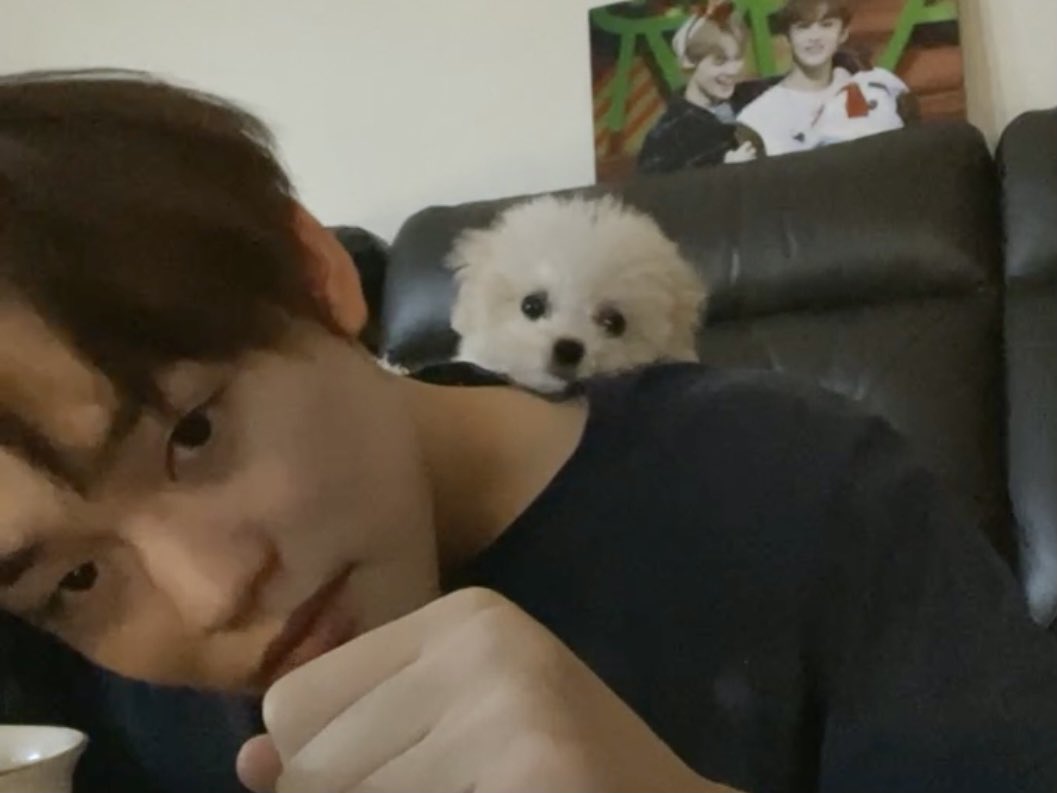 jinha tweet media