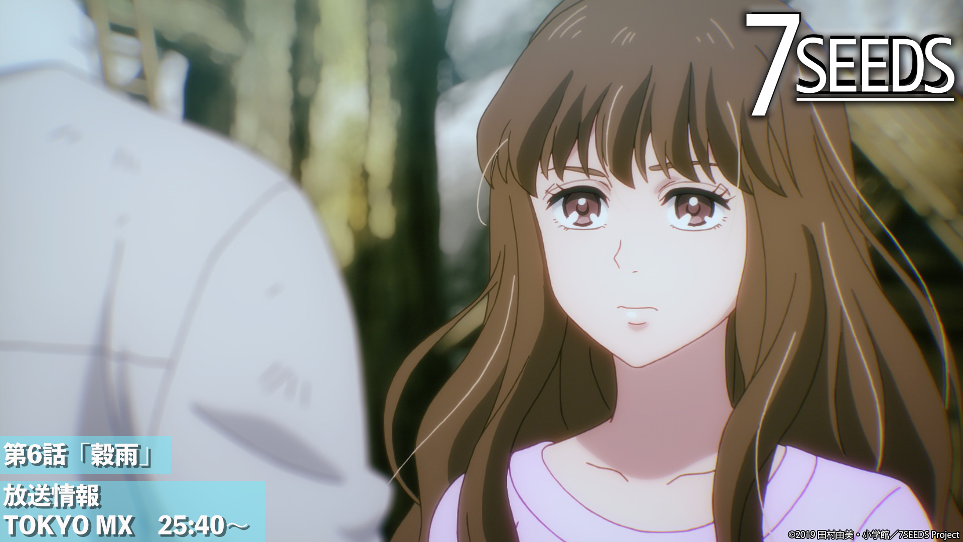 アニメ 7seeds 公式 7seeds Anime Twitter