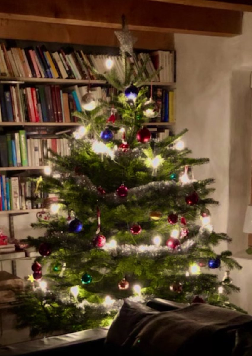 swe_moderators's tweet photo. We Wish You All a very Merry Christmas 🎄 &amp; Happy New Year 🌟 https://t.co/NlKyjdSwuc