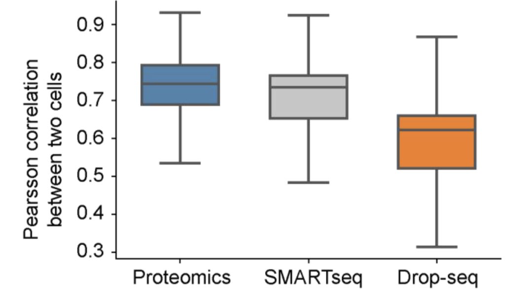 fabian_theis's tweet image. Single cell proteomics finally becoming a reality, with awesome miniaturization effort by @labs_mann! Robust plate-based readout (&amp;gt;1200 proteins), and strong differences to RNA; we (@_sabrinarichter @davidsebfischer ) contributed adapted #scanpy analyses.  biorxiv.org/content/10.110…