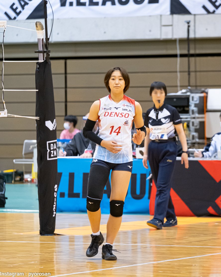 DENSO 女子バレー エロ